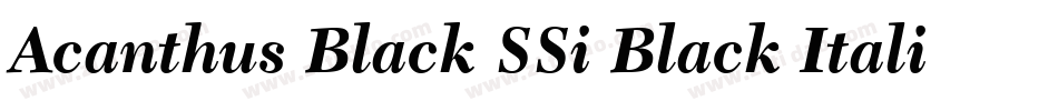 Acanthus Black SSi Black Italic字体转换
